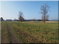 TL7893 : Breckland landscape by David Pashley