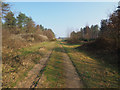 TL7892 : Looking north on forest road 58 by David Pashley