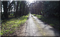 TL9197 : Looking down minor road that ends at STANTA boundary by David Pashley