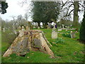 TL2320 : Tree stump in the churchyard, Knebworth Estate by Humphrey Bolton