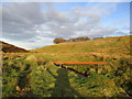 NS7634 : Metal girder bridge in evening light, River Nethan by Alan O'Dowd