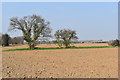 TM1835 : Ploughed fields on the northern edge of Harkstead by Simon Mortimer