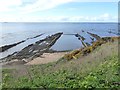 NO5402 : Salt water swimming pool at Pittenweem by Oliver Dixon