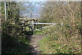 ST1686 : Gates at end of Farm Lane, Van by M J Roscoe