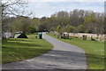 SP0292 : Swan Pool side - Sandwell Valley, West Midlands by Martin Richard Phelan