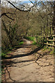 SY9582 : Path below Corfe Castle by Derek Harper