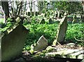 TG5210 : View across the old section of the cemetery by Evelyn Simak