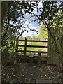  : Footpath leaving Brown Moss Nature Reserve by John H Darch