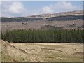 NM4320 : Forestry, Ross of Mull by Richard Webb