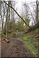 SC2780 : Windblown Trees on the Foxdale Branch Line by Glyn Baker