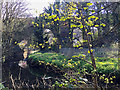 SP3477 : Western side of the railway viaduct over the River Sherbourne, Coventry, from the north by Robin Stott