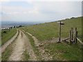 TQ2813 : Paths on Wolstonbury Hill, near Pyecombe by Malc McDonald