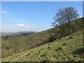 TQ2814 : South Downs near Clayton by Malc McDonald