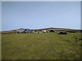 SX7376 : Parking area next to the road to Widecombe-in-the-Moor by Rob Purvis