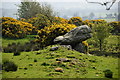 H2280 : Chambered grave, Leitrim by Kenneth  Allen