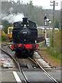 SX7863 : South Devon Railway - the train now approaching by Chris Allen