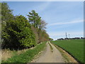 NZ3831 : Public bridleway near Sedgefield by Malc McDonald