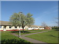 NZ3631 : Bungalows in Fishburn by Malc McDonald