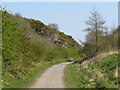 NZ3953 : Cycle path near Sunderland by Malc McDonald