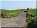 NZ3952 : Public bridleway near Ryhope by Malc McDonald