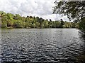 TQ2434 : Douster Pond in Buchan Country Park by PAUL FARMER