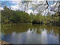 TQ2434 : Buchan Country Park by PAUL FARMER