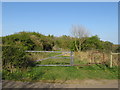 NZ3650 : Hetton Colliery Railway path at Warden Law, near Houghton-le-Spring by Malc McDonald