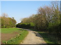 NZ3751 : Cycle path near Sunderland by Malc McDonald