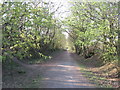 NZ3651 : Former railway path near Sunderland by Malc McDonald