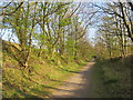 NZ3651 : Former railway path near Sunderland by Malc McDonald