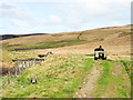 NT3343 : Farmer on quad bike near Glentress Water by Trevor Littlewood