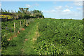 ST4217 : Footpath, South Petherton by Derek Harper