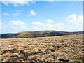 NT2432 : Heather and grass moorland on Broom Hill by Trevor Littlewood