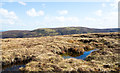 NT2433 : Moorland with pools on Broom Hill by Trevor Littlewood