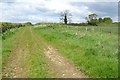 ST9996 : Farmland access track by Philip Halling