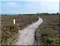 TM4768 : Path towards the Coastguard Cottages at Dunwich Heath by Mat Fascione