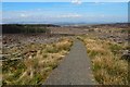 NS4780 : Path through cleared woodland by Lairich Rig