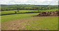 SS5726 : Farmland west of Chapelton by Derek Harper