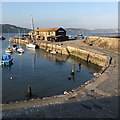 SY3391 : Evening on the Cobb, Lyme Regis by Robin Stott