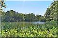 TQ8038 : Lake at Sissinghurst Castle Garden by PAUL FARMER