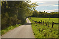 NO8199 : The Deeside Way near Coalford, Aberdeenshire by Andrew Tryon