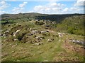 SX6971 : Dartmoor: Bench Tor (2) by Nigel Cox