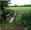 ST6092 : Wooden bridge over a rhine near Featherbed Lane, Oldbury-on-Severn by Jaggery