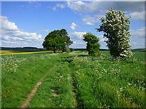  : Track and farmland, Aldbourne by Andrew Smith