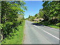  : B4391 heading uphill out of Llangynog by Richard Law