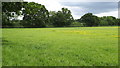 SU5119 : View across field north of Mortimers Lane by David Martin