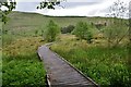 NT2915 : Boardwalk at Ettrick Marshes by Jim Barton