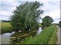 SK7229 : The Grantham Canal near Hose by Graham Hogg