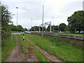 SJ9091 : Inside Portwood Roundabout  by Gerald England