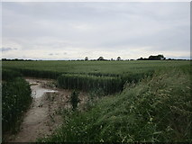  : No sign of a footpath by Jonathan Thacker